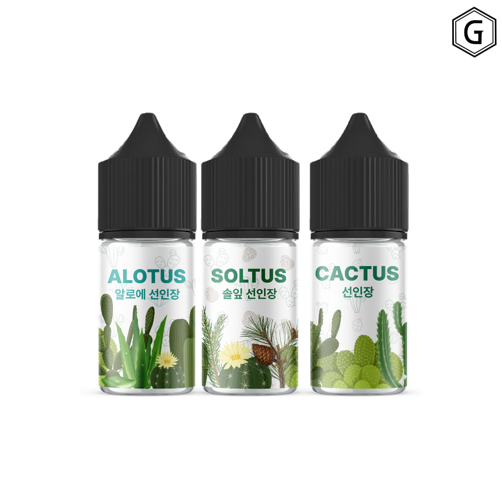선인장 솔잎선인장 30ml