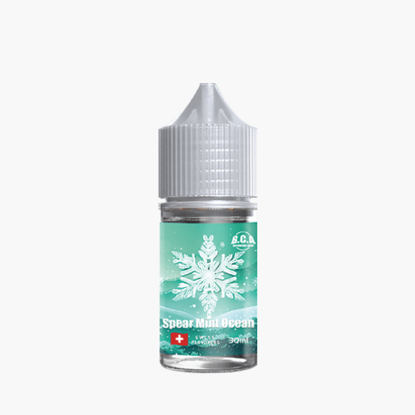 스타로아 스피아민트오션 30ml