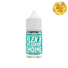 플렉스 FLEX X 스피아민트 엔딩 30ml