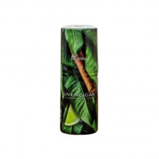 마샤 지방시가 30ml
